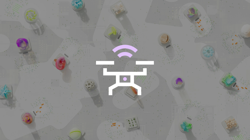 DI dronams ir gynybai